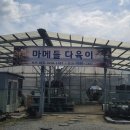 마메들다육이