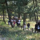 태안힐링캠프 이미지