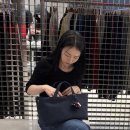 초이진헤어 본점에서 반곱슬머리 슬릭펌 후기 · 병수 실장님