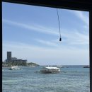 망고잉글리쉬어학원 | 큐큐잉글리쉬 학생들을 위한 ‘바이킹 호핑투어’ 리얼 후기! 🌊⛵️