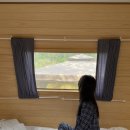 소나무파인트리(PINE TREE) | [포천 여행 / 포천 카라반] 내돈내산 카라반 ‘파인트리 글램핑&amp;카라반’ 밸리뷰 카라반 (23년 신축) 후기!