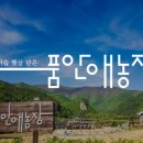 품안농장 이미지