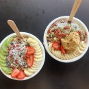 신바람난빵집 | [🇦🇺호주 워홀] 마지막 타운즈빌, 행복했고 다신 보지 말자🪴(ep 2. 타운즈빌 일상 1편)