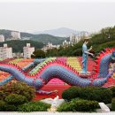 황룡 이미지