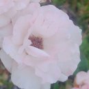 축복드림공인중개사사무소 이미지