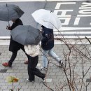 ⛈️"내일 우산 꼭 챙기세요"…전국에 많은 비·강원도 대설 주의 이미지