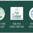 그린밤보 네이버블로그