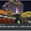 새로운질서강