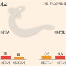 민물장어나라 이미지
