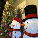 플레토 피트니스클럽 이미지