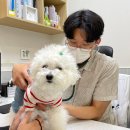 녹양돌봄동물병원 이미지