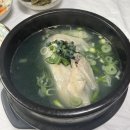 진국본가하동점 | [국내여행/하동 2박 3일] 하동에 간다면 꼭 타봐야 할 '코리아 짚와이어' (둘째 날)