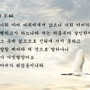 참아름다운교회 이미지