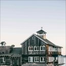 노화해바라기 이미지