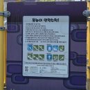상무시민공원 | 광주 무료 물놀이장 | 상무시민공원 물놀이 후기