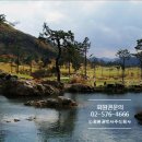 회원권박사