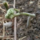 곰밭농장 이미지