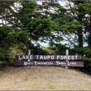 Riverstone 이미지