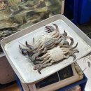 둥글상회 | 노량진 수산시장 대게 순천만상회 꽃게 맛집 가을이 끝나기 전에 꽃게찜 먹으러 다녀온 후기