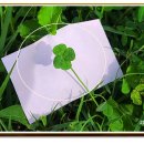 설악해맞이공원 이미지