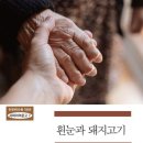 김철희 수필집 『흰눈과 돼지고기』_한국현대수필100년 사파이어문고 7 이미지