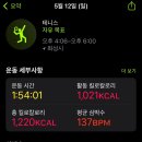 용인시립골드 테니스장 이미지