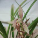 호암한의원 이미지