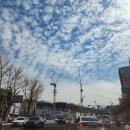 감삼동345 이미지