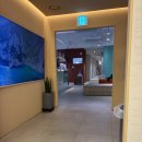 셀린의원 하남미사 | 미사제모레이저 셀린의원 하남미사