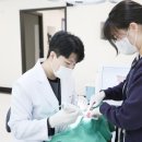아름79치과의원 티스토리