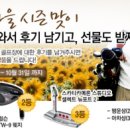 에이스골프닷컴 이미지