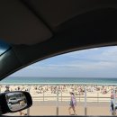 하나태평양약국 | 호주 시드니 여행 첫날, 본다이비치 아이스버그 왓슨스베이 하버브릿지 그리고 마막