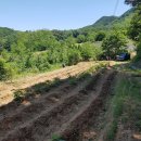 구곡리 마을회관 이미지