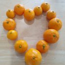 하랑하람 이미지