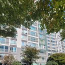 세일부동산공인중개사사무소 이미지