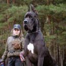 글레이트 이미지