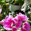 스플래쉬 이미지