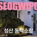 성산 동백소랑 이미지