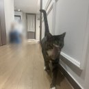 당도초과 옥정본점 이미지