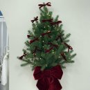 라임 | 진주신안동네일_네일조이_뷰티유라임_내돈내산후기✨🎀