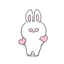 조이앤카 이미지