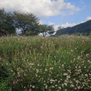 삼문풋살경기장 이미지