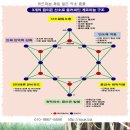 망개나무뿌리(토복령), 고장초(줄풀) 효능 총정리 달임레시피 이미지