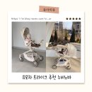 노바 | 유모차 트라이크 추천 누비노바 실제 사용 후기