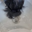 모에드헤어 | 임산부 일산두피관리 <모에드> 버블베이직스파 후기(김원장님)