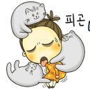 아슈아슈아이스크림할인점화곡 이미지