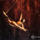 태양의 서커스 루치아(LUZIA) 이미지