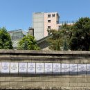 알알이 석류 | [동대문] 장충동 감성브런치 카페 콘드에뻬뻬 주말웨이팅 꿀팁 솔직후기