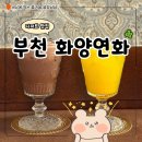 화양연화 | 부천 중동 디저트 맛집 분위기 좋은 화양연화 후기