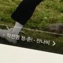 유월의 어느 여름날